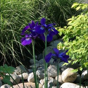 Meet your Posher, Stacey